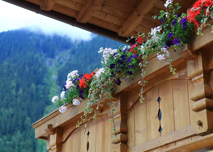 Haus Susanne Appartement